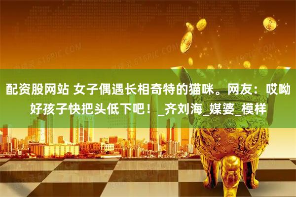 配资股网站 女子偶遇长相奇特的猫咪。网友：哎呦好孩子快把头低下吧！_齐刘海_媒婆_模样