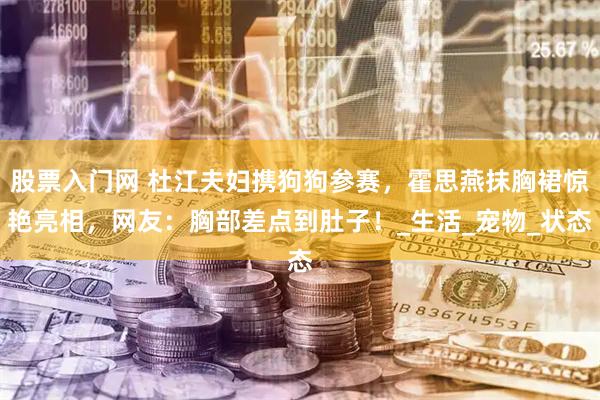 股票入门网 杜江夫妇携狗狗参赛，霍思燕抹胸裙惊艳亮相，网友：胸部差点到肚子！_生活_宠物_状态