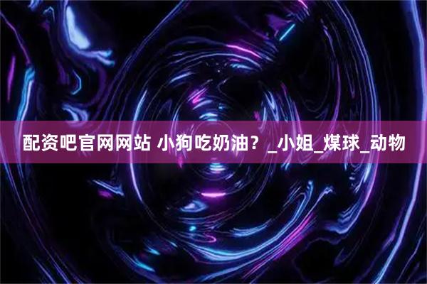 配资吧官网网站 小狗吃奶油？_小姐_煤球_动物