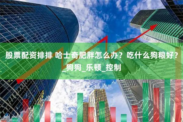 股票配资排排 哈士奇肥胖怎么办？吃什么狗粮好？_狗狗_乐顿_控制
